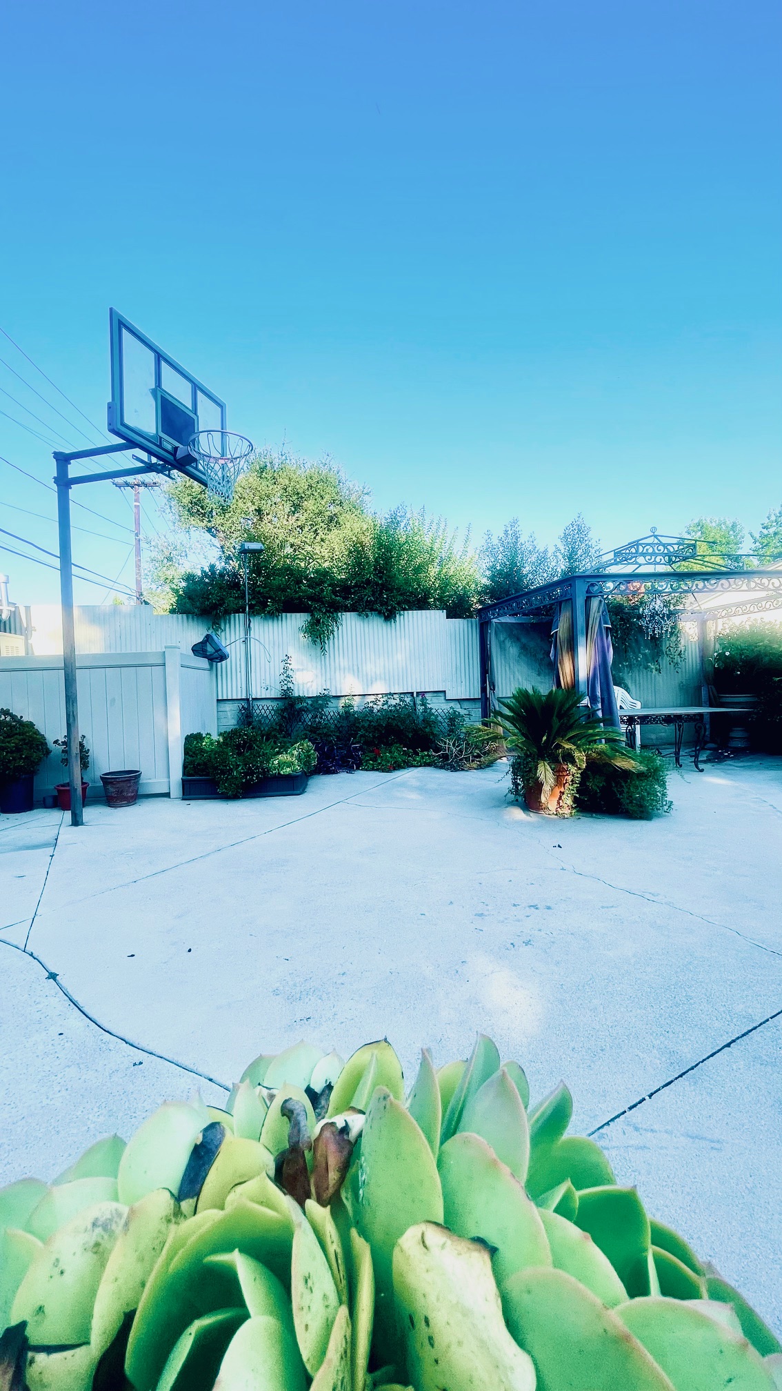 20250716-014824110-8c9a-04dde6371399_image1 _5_.jpeg